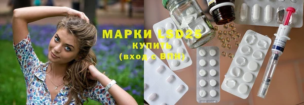 индика Богородицк
