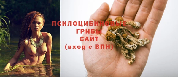 mix Богданович