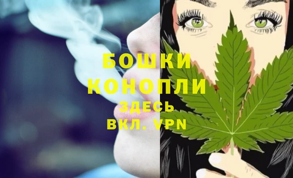 индика Богородицк