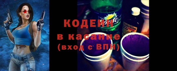 индика Богородицк
