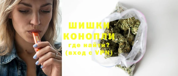 индика Богородицк