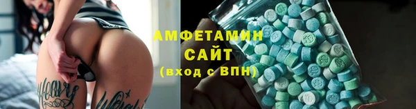 индика Богородицк