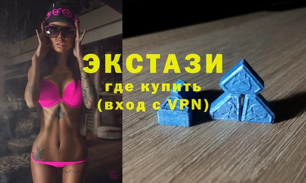индика Богородицк