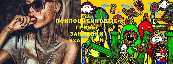индика Богородицк