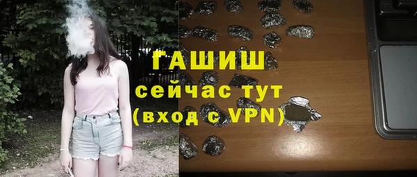 индика Богородицк
