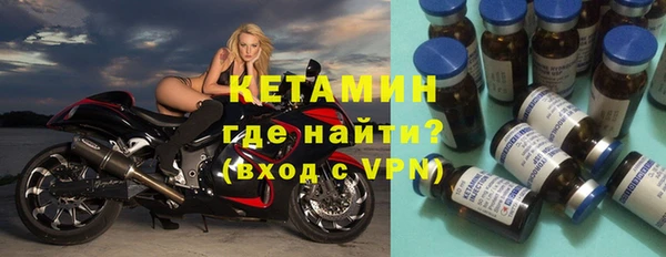 индика Богородицк
