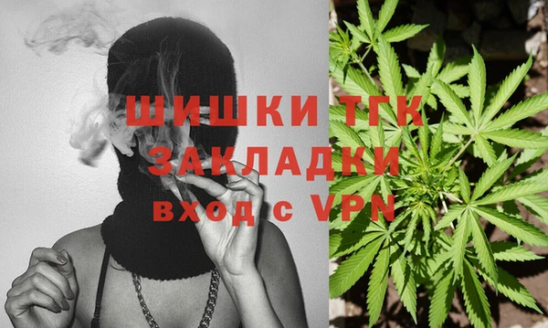 шишки Нягань