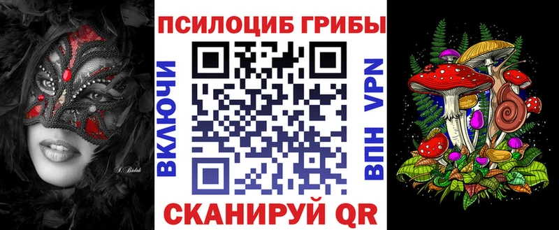 Купить  Рудня  Псилоцибиновые грибы GOLDEN TEACHER 